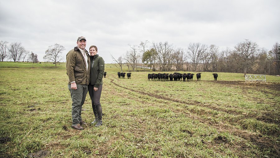 Ashbourne Farms has produced local food for more than a decade