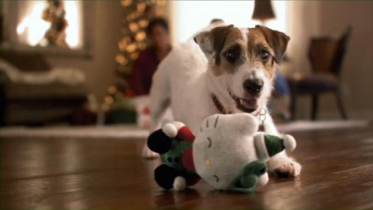 KC agency's holiday campaign for PetSmart earns top recognition