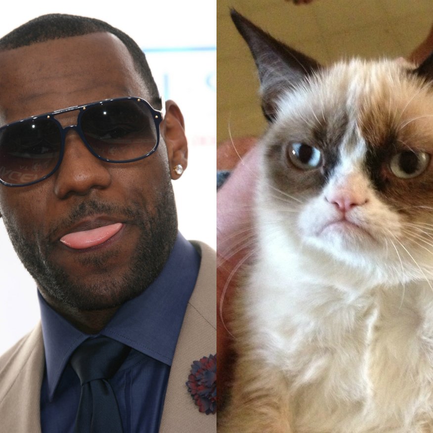 lebron little big cats