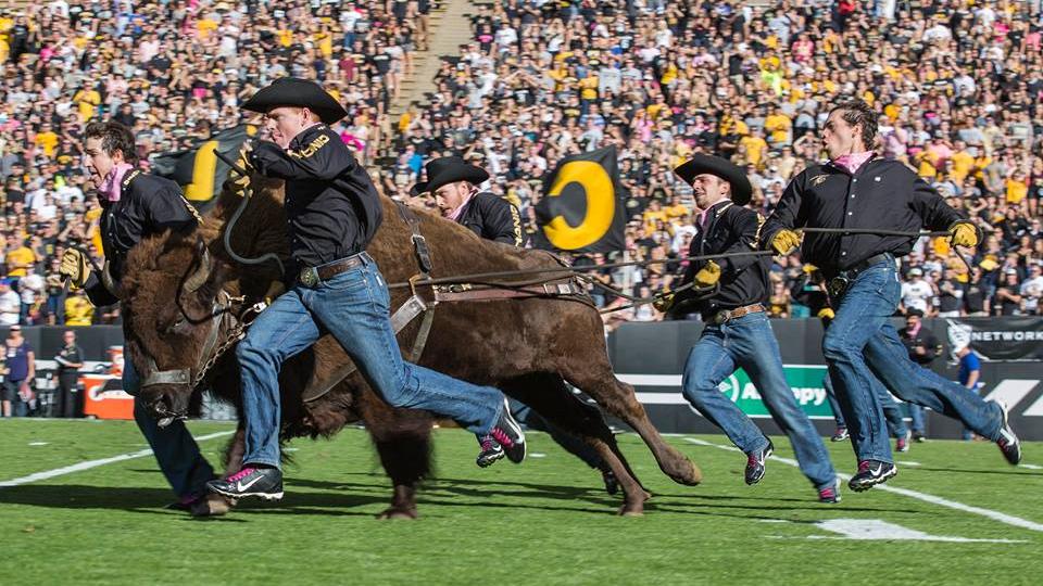 Forbes Names CU Buffs Worst ‘bang For The Buck’ In College Football ...