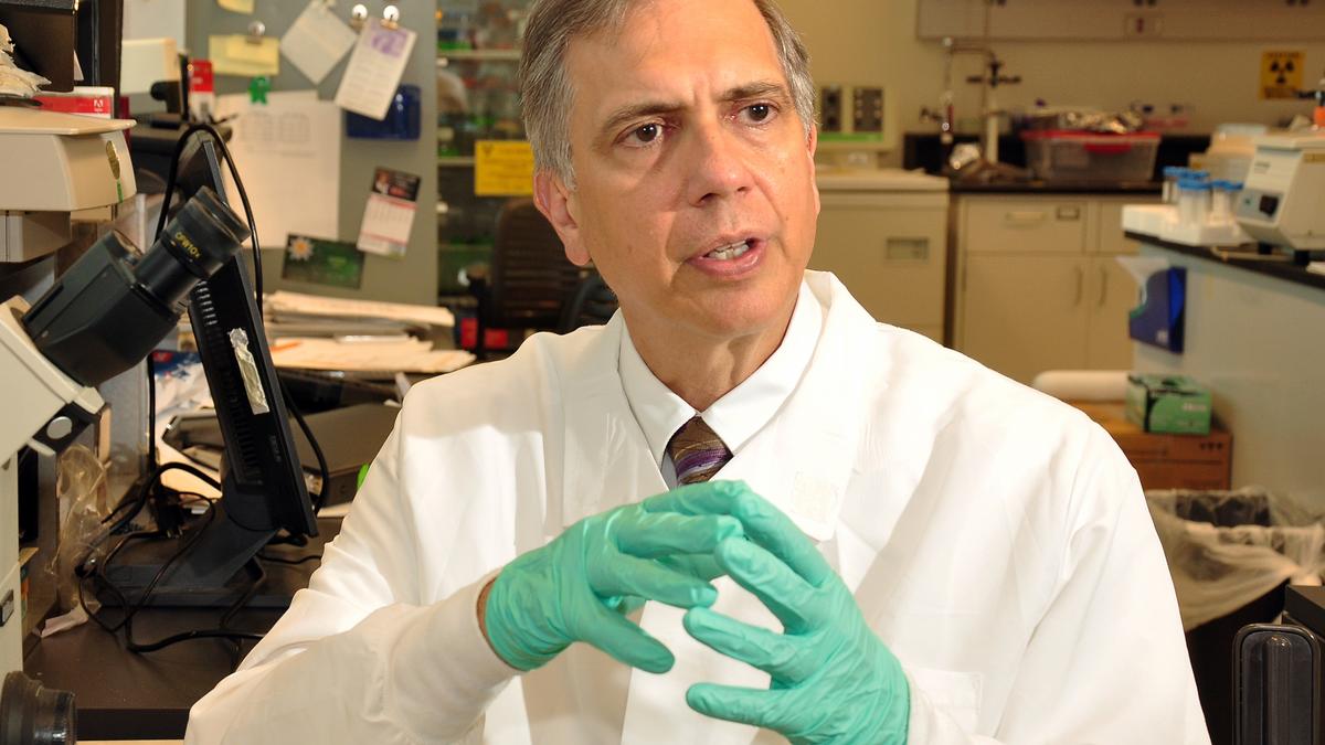 UAlbany starts seed fund to help researchers apply for federal funds - Albany Business Review