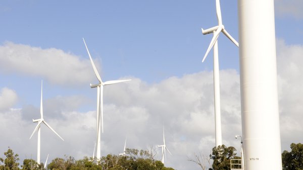 More Than 20% Of Energy In Hawaii Was Renewable In 2014, Report Says 