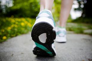 &nbsp;