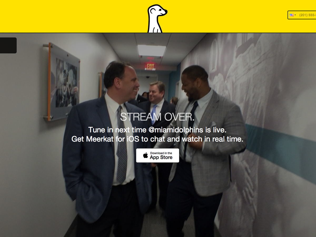 Miami Dolphins capitalize on new social media darling Meerkat - South  Florida Business Journal