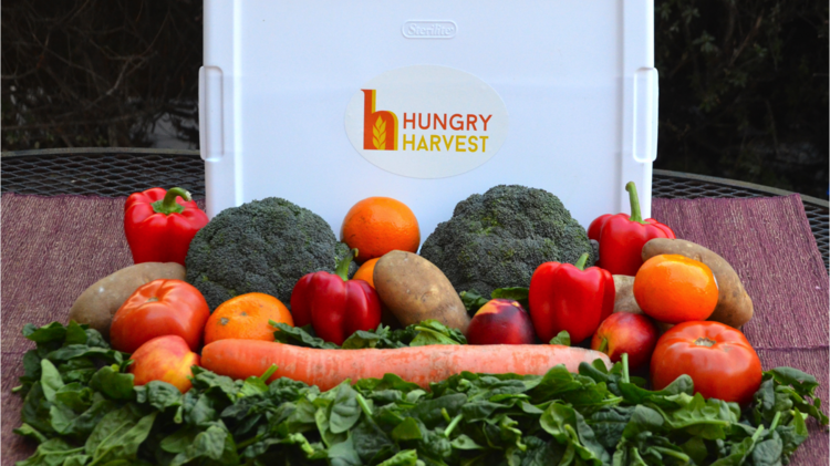 Hungry Harvest, a Baltimore-based produce delivery company, will stay in Philadelphia after its initial launch period.