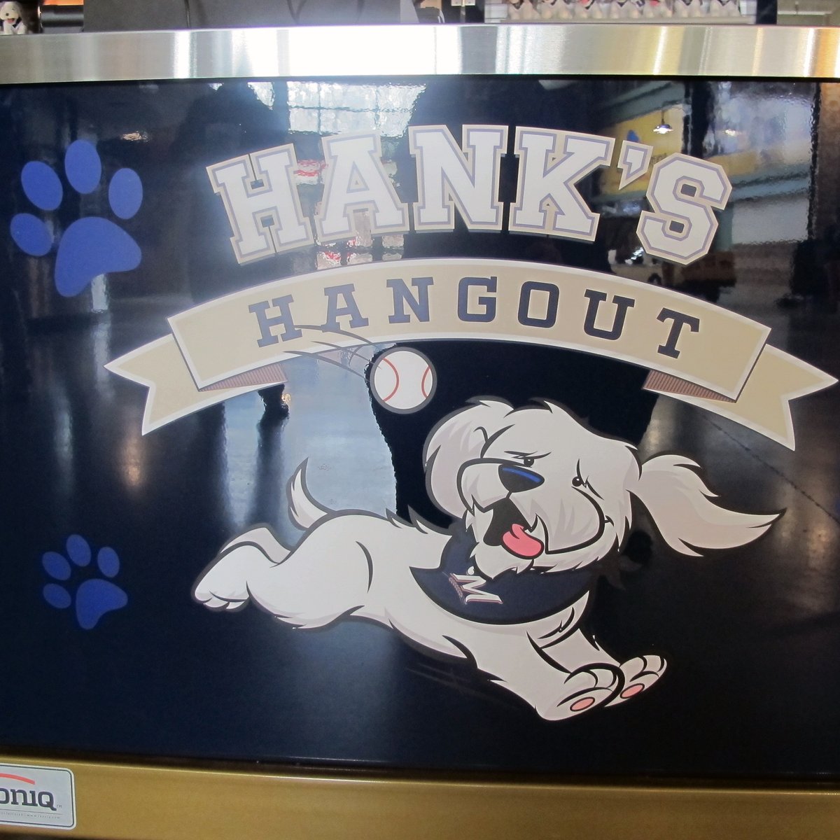 Hank Ball Park Pup