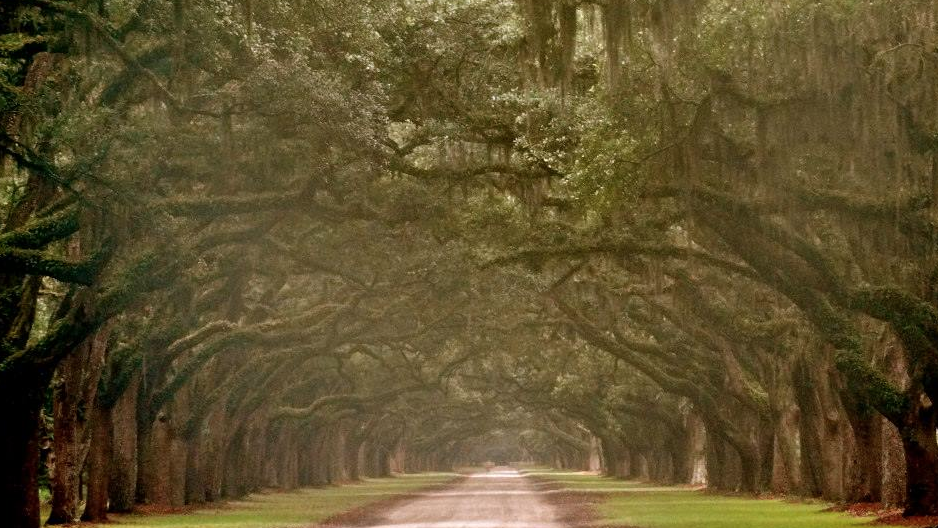 most expensive spring travel destinations Atlanta Business