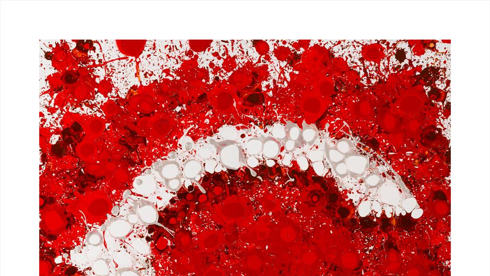 Howell Baseball Field in Dayton to get renovation courtesy of the