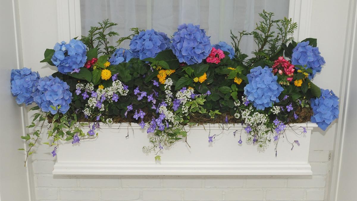 Get a sneak peek inside the Cincinnati Flower Show PHOTOS Cincinnati