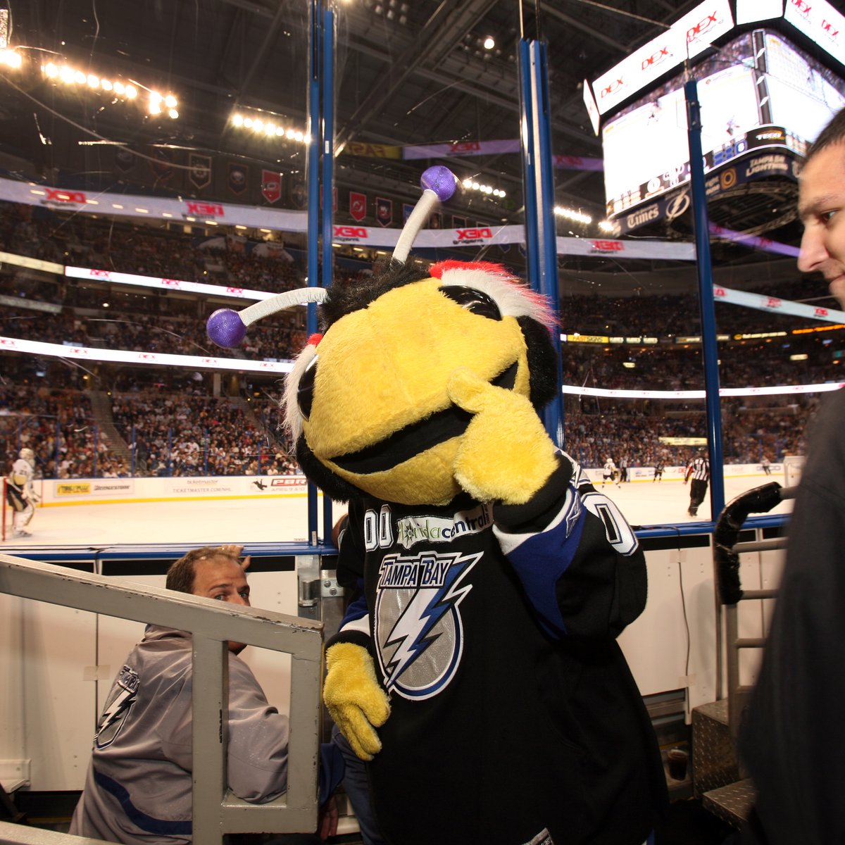 Tampa Bay Lightning hike season ticket prices, roll out 'Bolt for Life'  program - Tampa Bay Business Journal