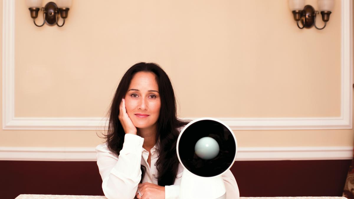 Mit jibo 2024