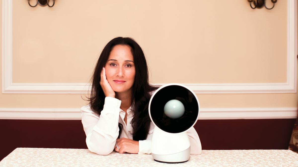 Jibo mit sales