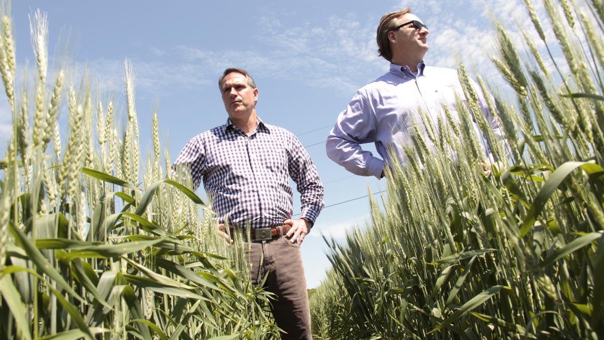 Arkansas, Mississippi farmland being seen as a value compared to