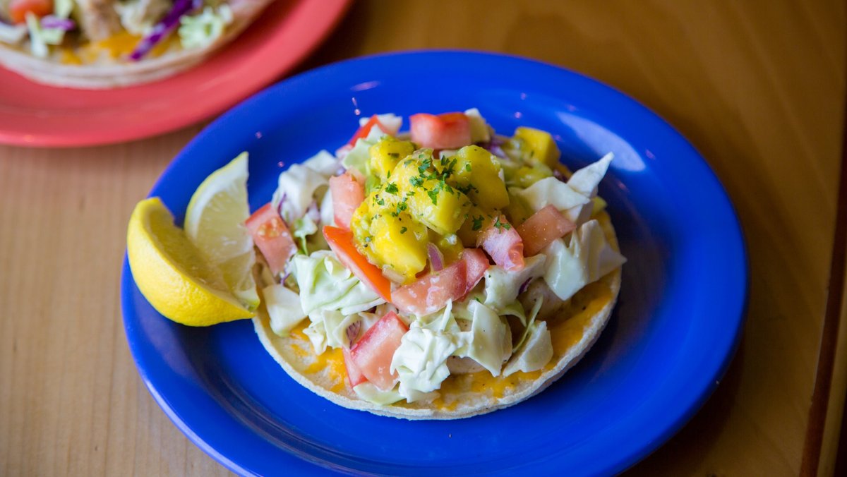 Coconut's Fish Cafe CEO plans to bring franchise locations to region