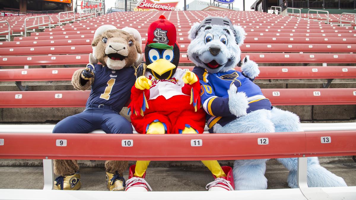 Behind the scenes: Fredbird, Rampage and Louie pose for this week's cover  story (Video) - St. Louis Business Journal