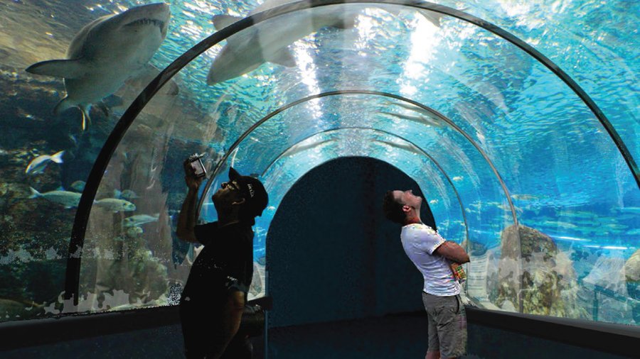 Via Properties, new owners of Rotterdam Square Mall, in Schenectady