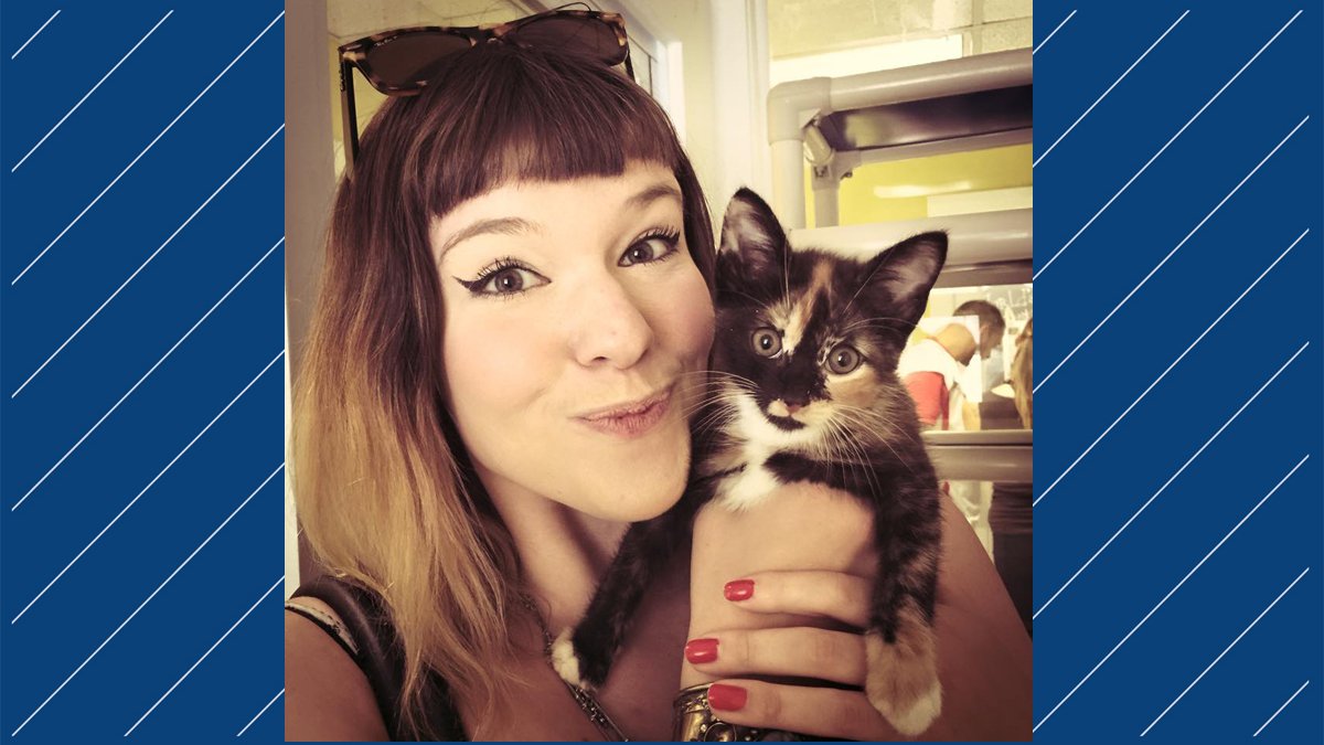 Kawaii Kitty Cafe opening in Philadelphia this year Philadelphia