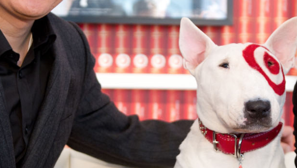 Target's dog mascot learns new tricks in marketing blitz – Orange County  Register