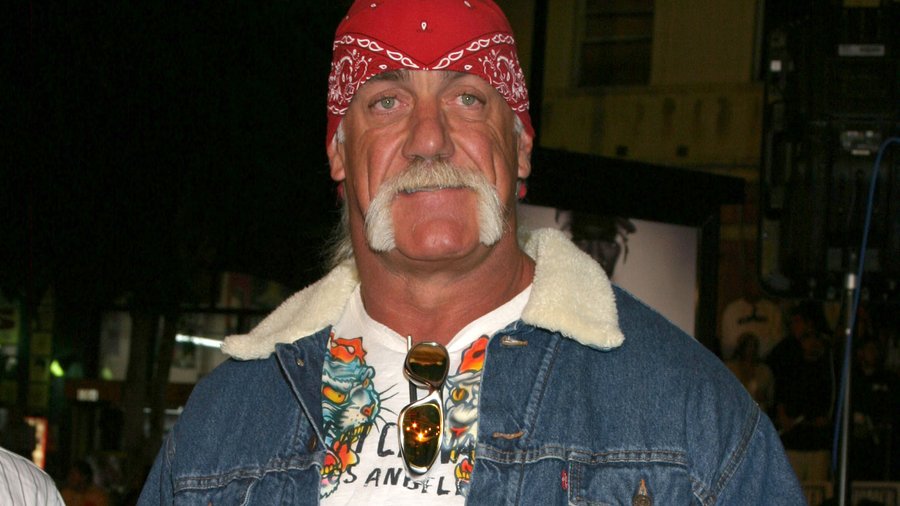 Court Ruling Means Gawker Hulk Hogan Sex Tape Trial Delayed New York Business Journal