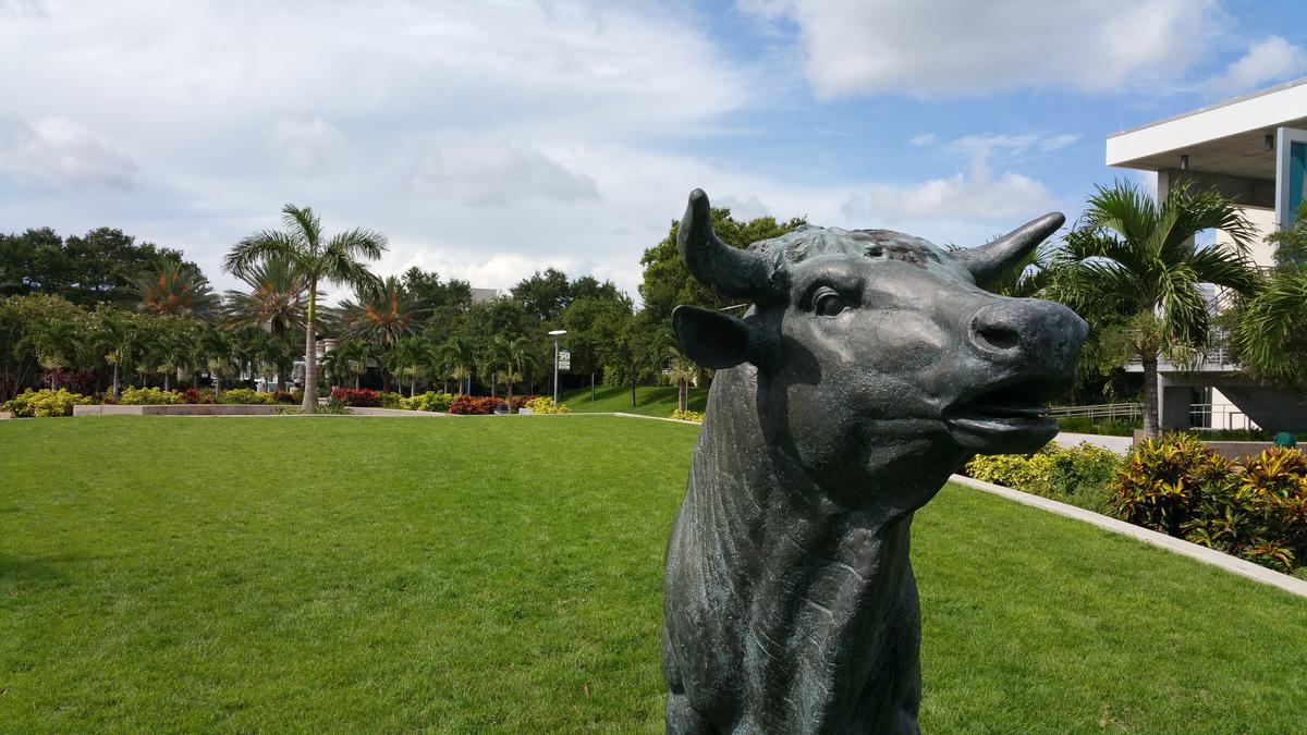 salaries-no-bull-about-the-big-bucks-at-usf-tampa-bay-business-journal