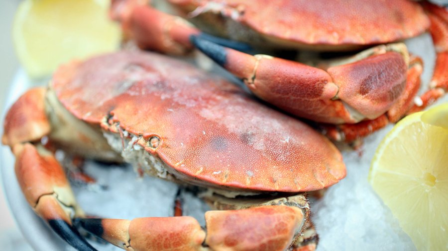 Ignite Restaurant Group to close more Joe's Crab Shack, Brick House