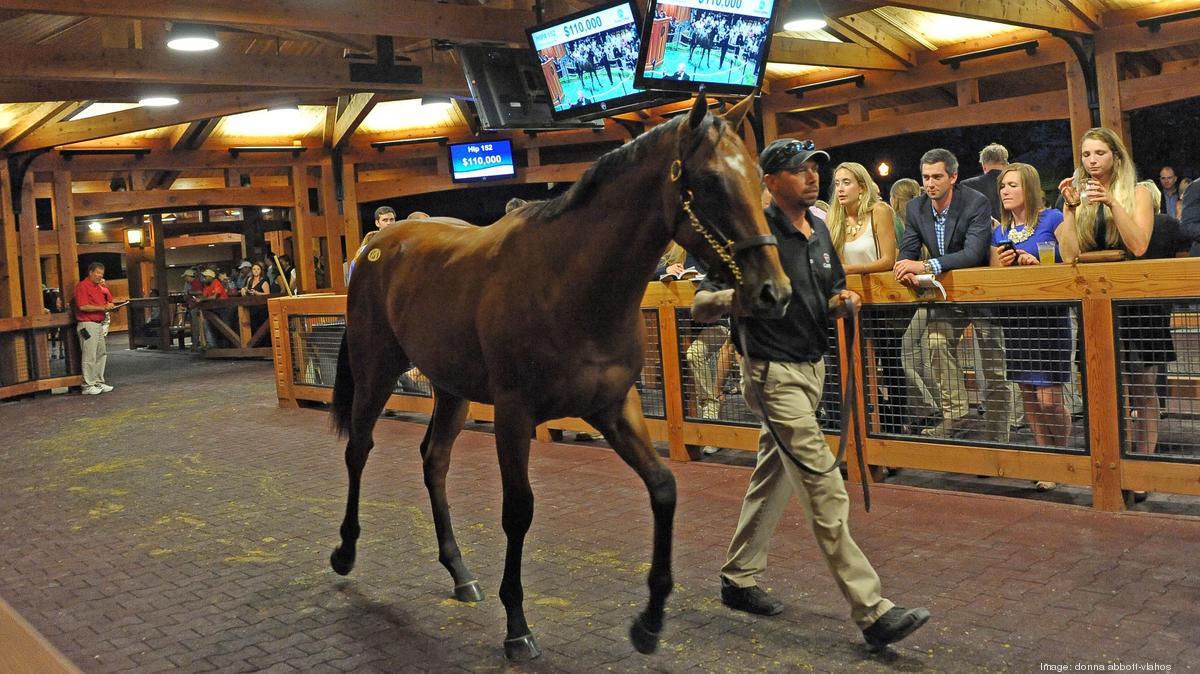 FasigTipton Saratoga yearling auction sees big increase as total sales