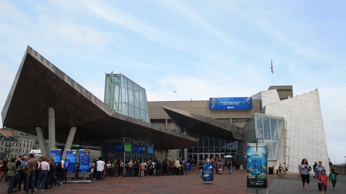 Check out which Massachusetts museums experienced the biggest