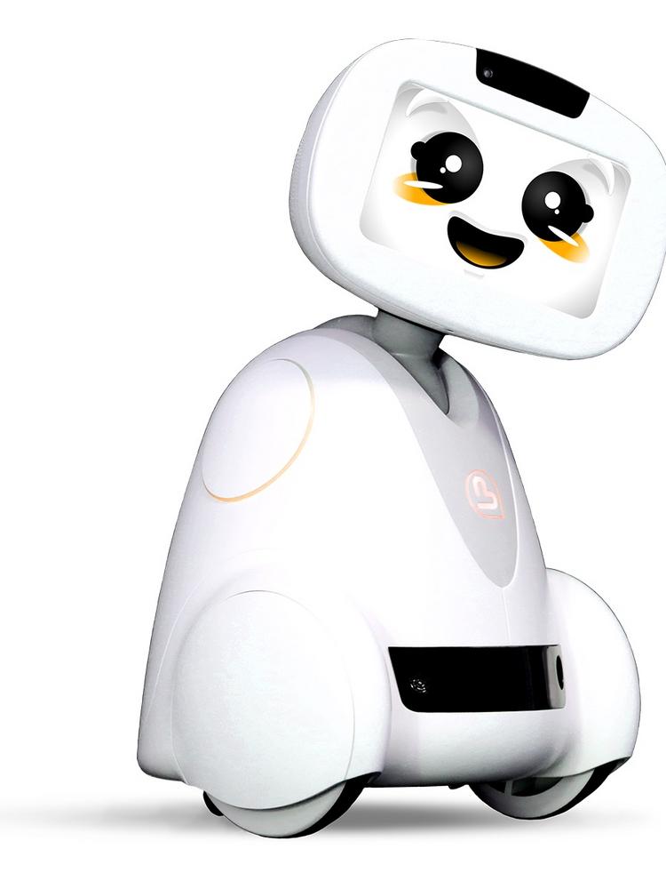 buddy robot price 2019