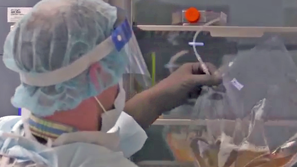 Penn immunotherapy puts leukemia patients in remission for years