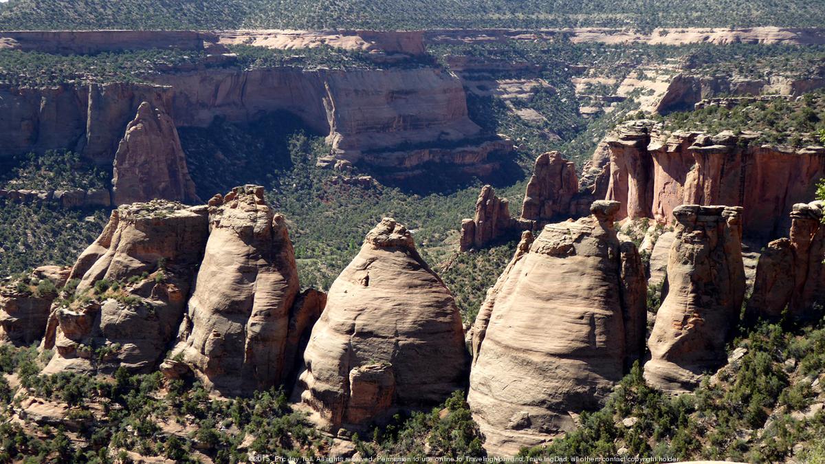 ColoradoUtah Dinosaur Diamond is a chance to see those big teeth