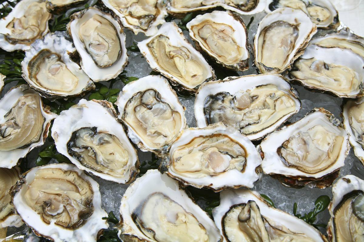 Oyster business returning to Duval County? Jacksonville Business Journal