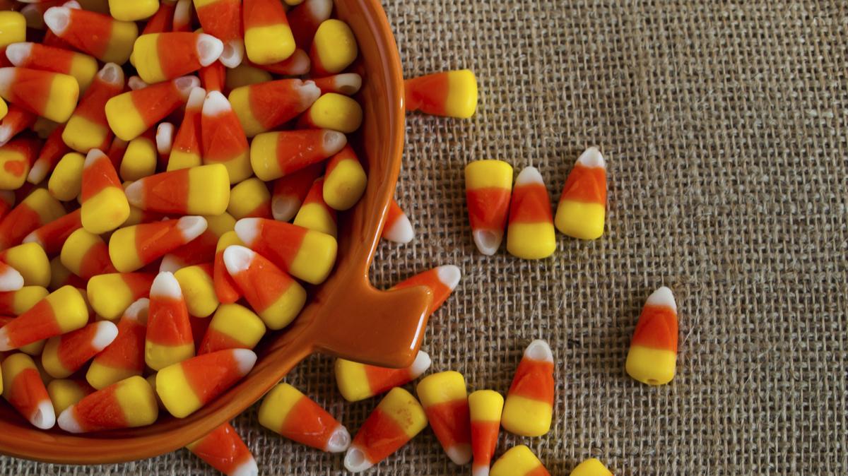 Here's where trickortreaters should go in Charlotte Charlotte