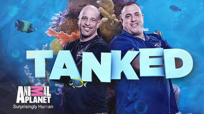 Animal Planet's TANKED to feature Greensboro Science Center's giant octopus  exhibit this week - Triad Business Journal