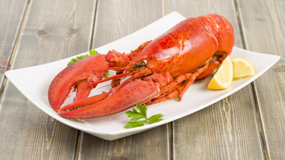 Price Chopper undersized lobsters seized as grocer faces fines Albany Business Review