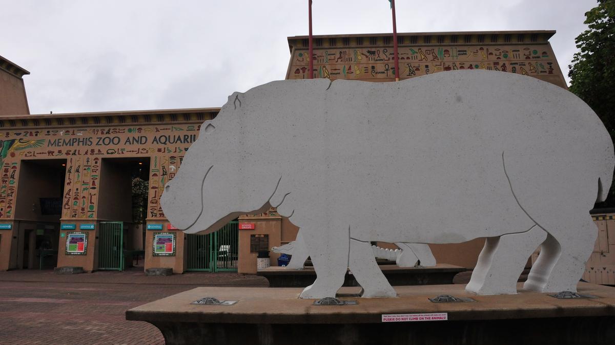 In March, the Memphis Zoo will unveil its newest exhibit to the public
