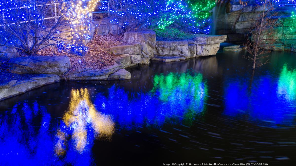 Saint Louis Zoo in running for best zoo lights St. Louis Business Journal