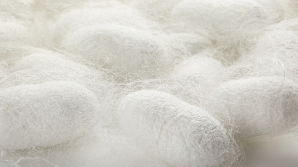 Mass. startup using silk in new treatment for osteoarthritis Boston