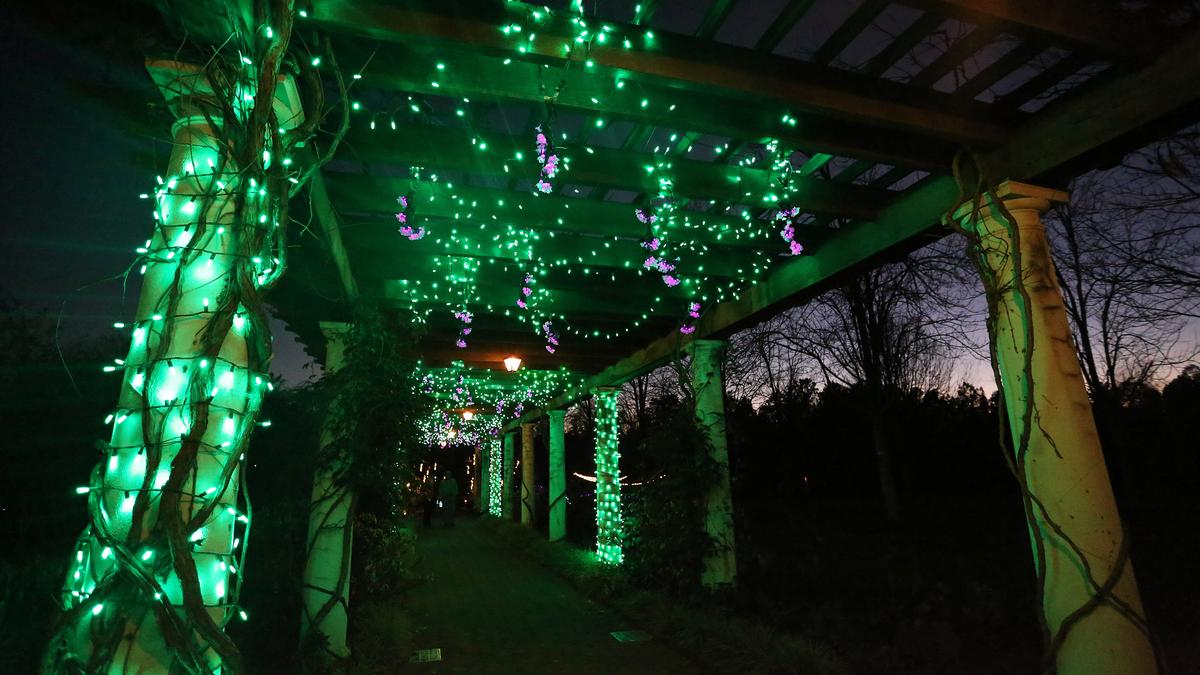Botanical garden in Belmont, N.C. lights up for the holidays (Slideshow