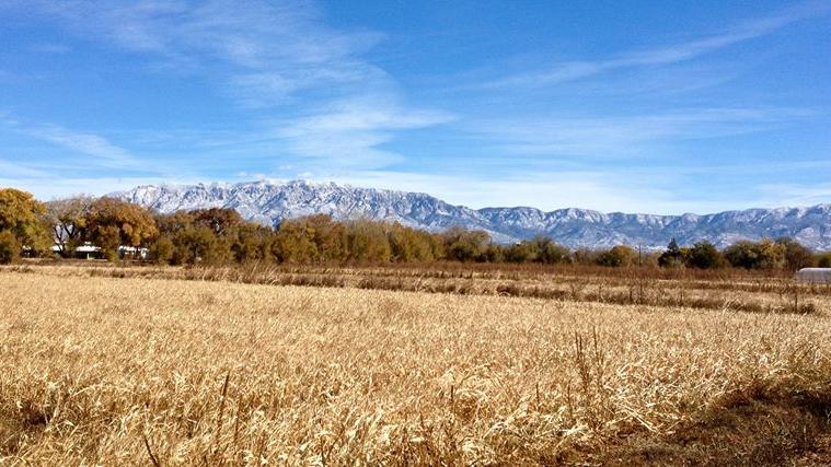 Rio Grande Community Farm Launches Farmer Training Program 