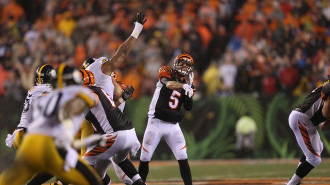 Cincinnati Bengals change pricing format for season tickets - Cincinnati  Business Courier