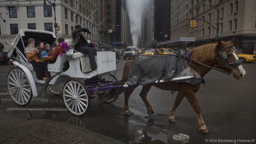 Inside N.Y.C.'s horse-drawn carriage industry