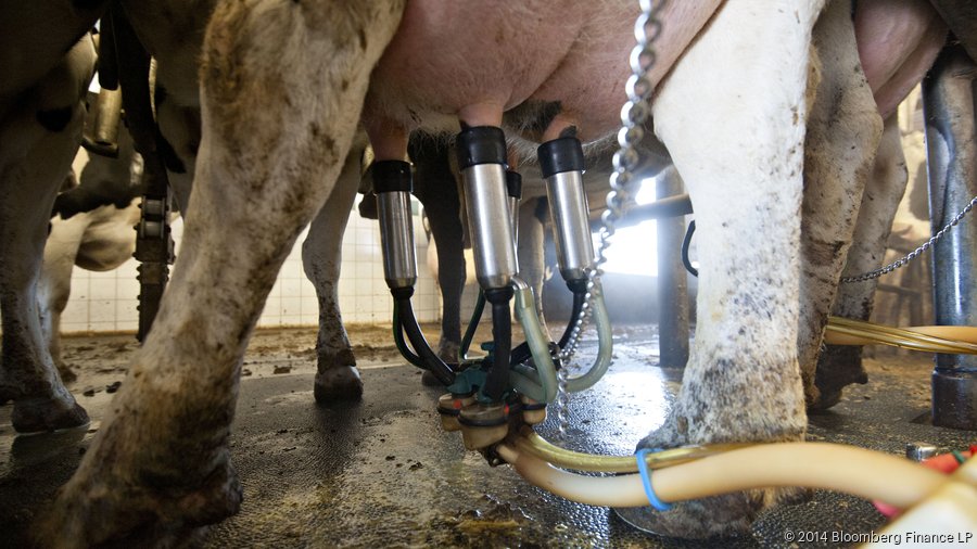 Obtaining Raw Milk in Washington, D.C. - Farm-to-Consumer Legal