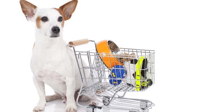 specialty pet supplies