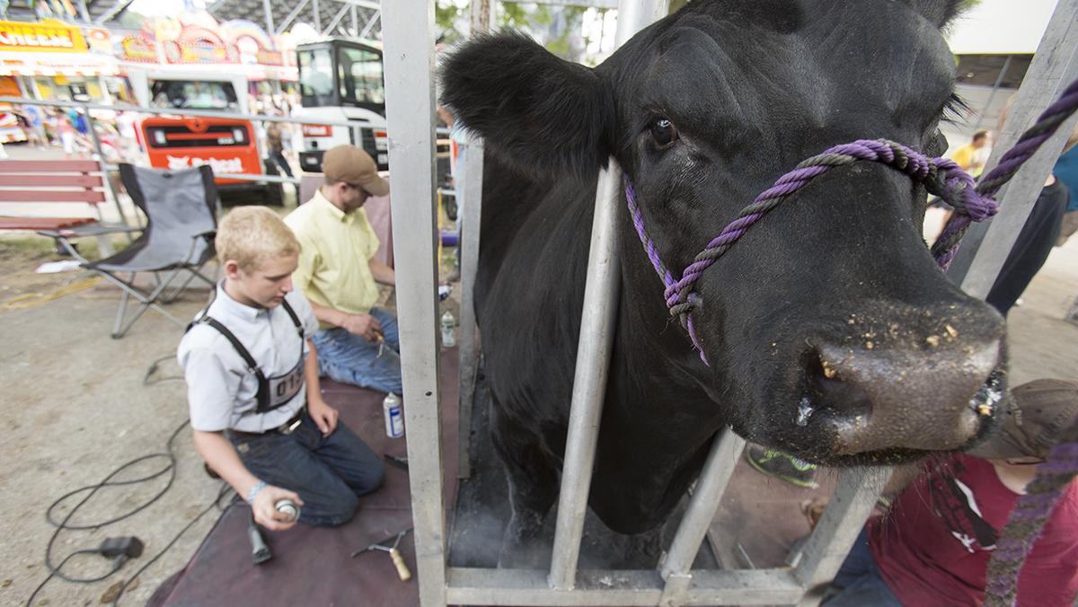 Wisconsin Milk Marketing Board names Sartori executive as new CEO