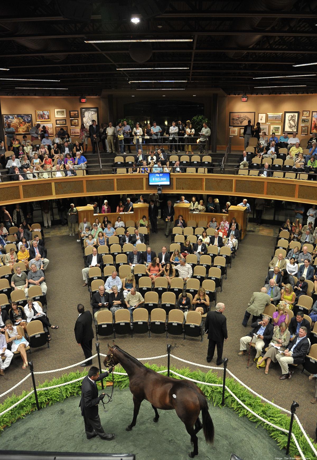Buyers using horse sense at Saratoga auctions today Albany Business