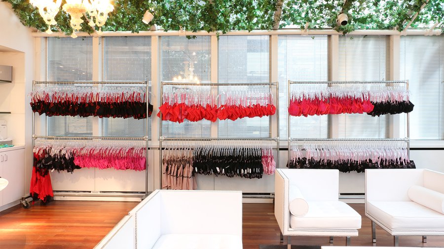 E-commerce lingerie startup Adore Me plans to get into brick and