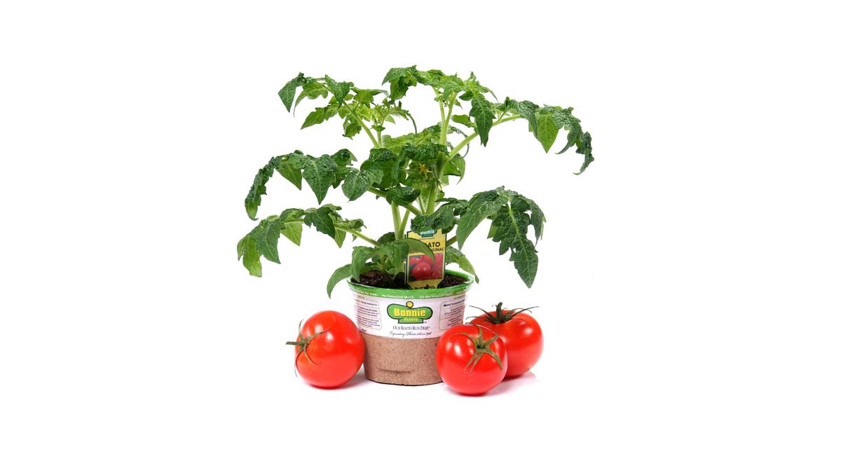 Bonnie Plants President Stan Cope reveals why the company partnered