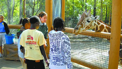 Birmingham Zoo on pace to break attendance records for third straight