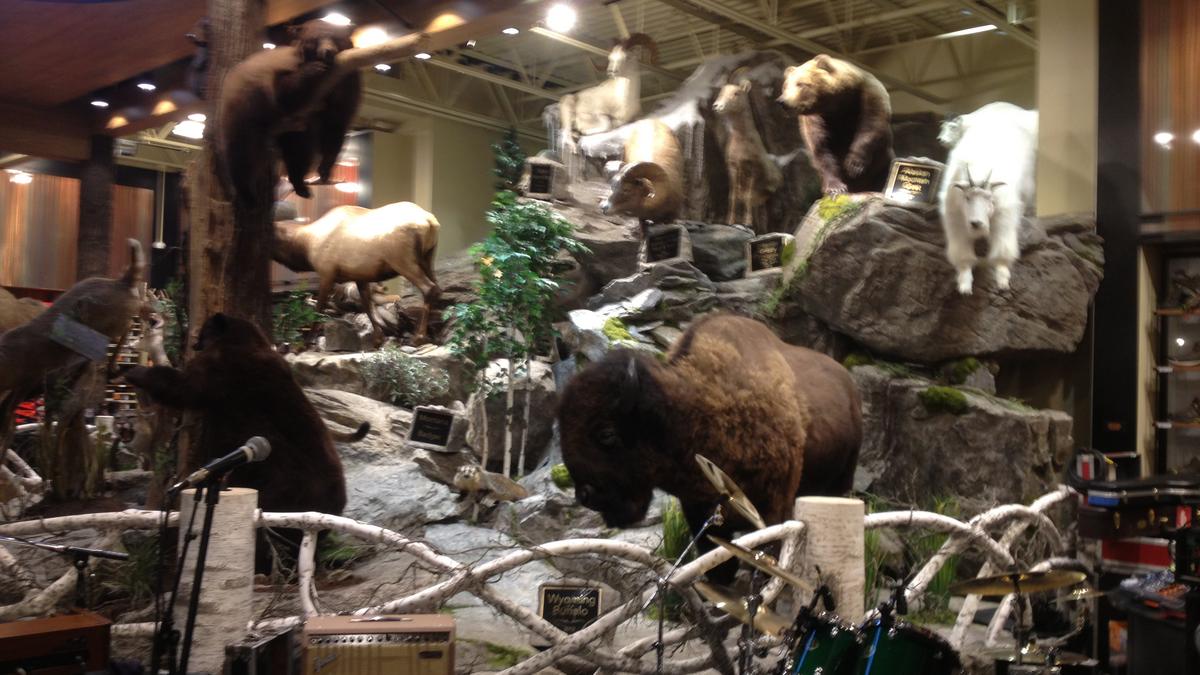 Brunner Inc. reels in Dick's Field & Stream Specialty Stores