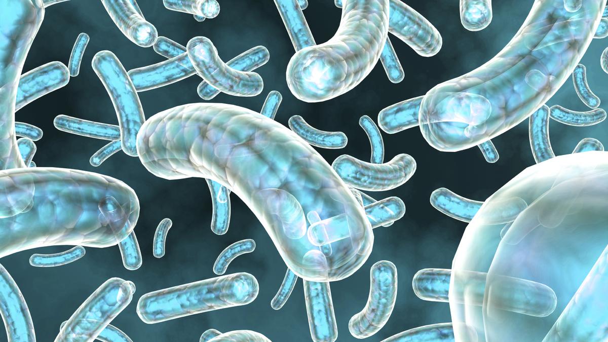 Zika virus test by Hologic gets FDA's OK for emergency use Boston